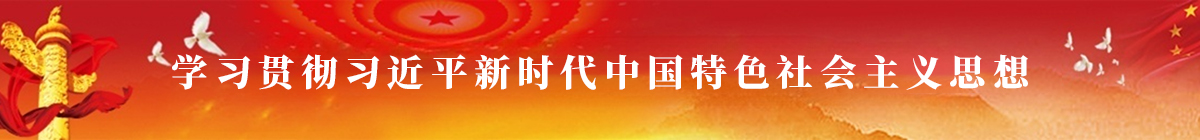 学习贯彻习近平新时代中国特色社会主义思想